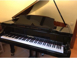PIANO WEND & LUNG 178 MOD PROFESSIONAL II pianoslowcost.es